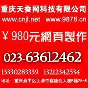 供應九龍坡網站建設公司及軟件開發服務，助力燈具照明企業拓展市場