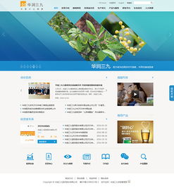 醫(yī)藥企業(yè)如何通過(guò)網(wǎng)站建設(shè)，鑄就卓越品牌形象